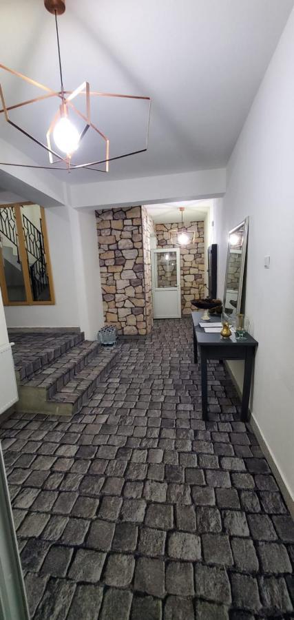 Alpina Retezat Otel Rîu de Mori Dış mekan fotoğraf