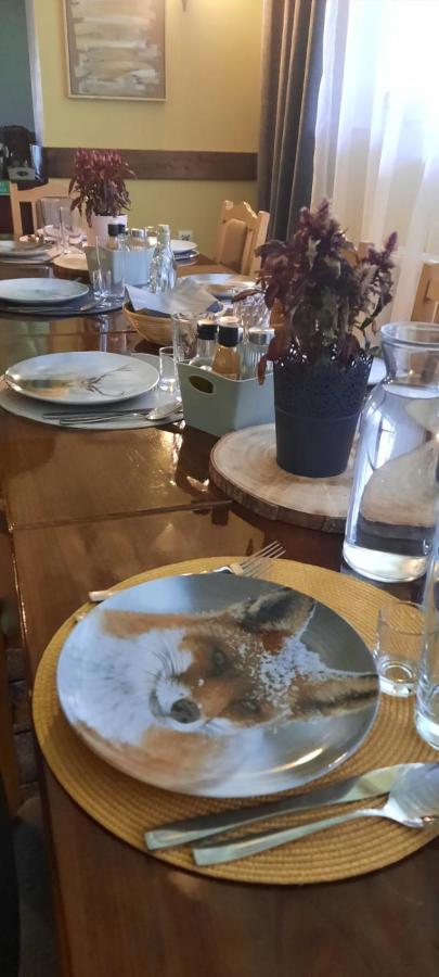 Alpina Retezat Otel Rîu de Mori Dış mekan fotoğraf