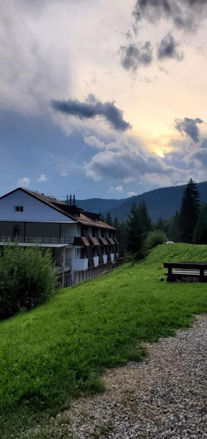 Alpina Retezat Otel Rîu de Mori Dış mekan fotoğraf
