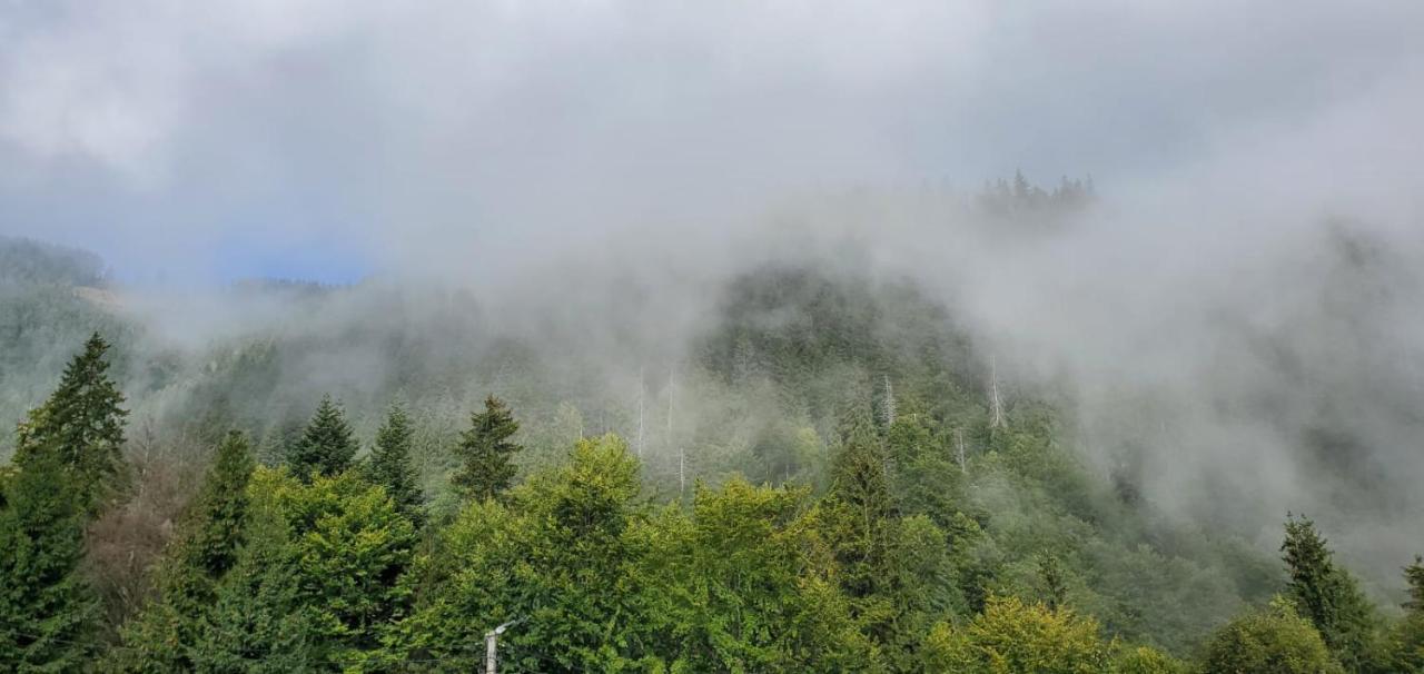 Alpina Retezat Otel Rîu de Mori Dış mekan fotoğraf