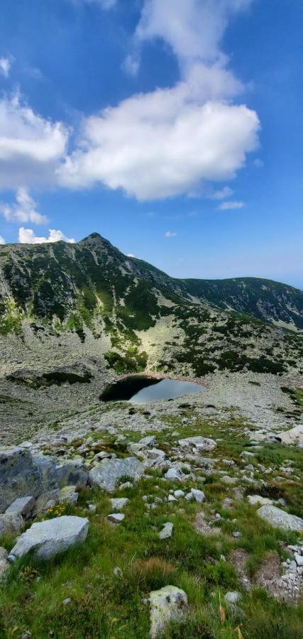 Alpina Retezat Otel Rîu de Mori Dış mekan fotoğraf