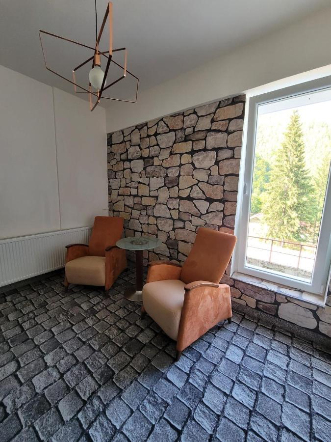 Alpina Retezat Otel Rîu de Mori Dış mekan fotoğraf