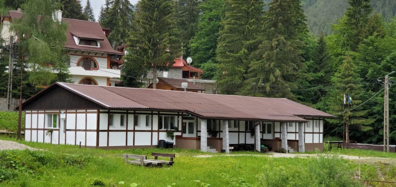 Alpina Retezat Otel Rîu de Mori Dış mekan fotoğraf