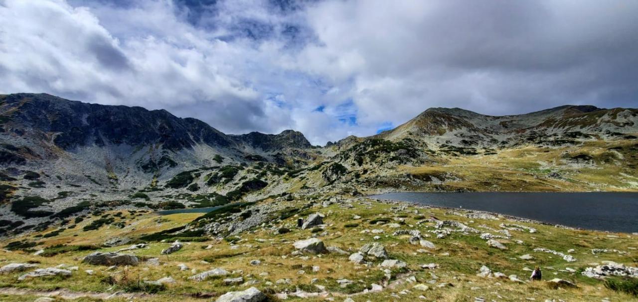 Alpina Retezat Otel Rîu de Mori Dış mekan fotoğraf