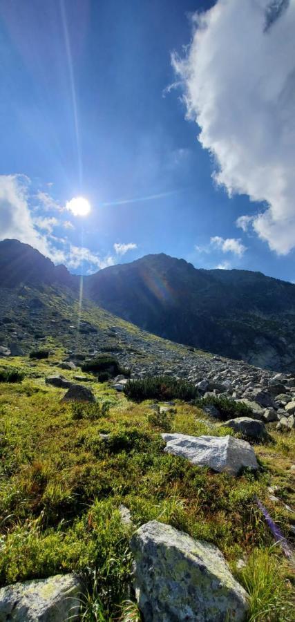 Alpina Retezat Otel Rîu de Mori Dış mekan fotoğraf